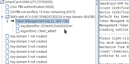 Token Management Key