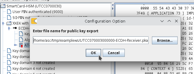 Public Key File Name