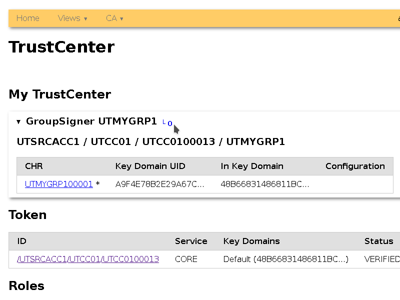 Signer in Trust Center View
